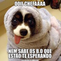 OOII CHEFAAAANEM SABE OS B.O QUE ESTÃO TE ESPERANDO
