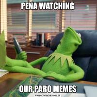 PEÑA WATCHINGOUR PARO MEMES