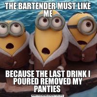 THE BARTENDER MUST LIKE MEBECAUSE THE LAST DRINK I POURED REMOVED MY PANTIES 