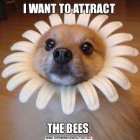 I WANT TO ATTRACTTHE BEES 