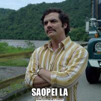 SAOPEI LA