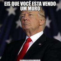 EIS QUE VOCÊ ESTA VENDO UM MURO