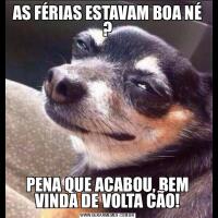 AS FÉRIAS ESTAVAM BOA NÉ ?PENA QUE ACABOU, BEM VINDA DE VOLTA CÃO!