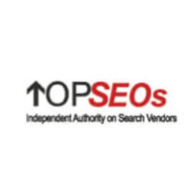 TOPSEOs