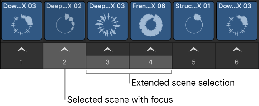 Logic Pro course notes - Live Loops