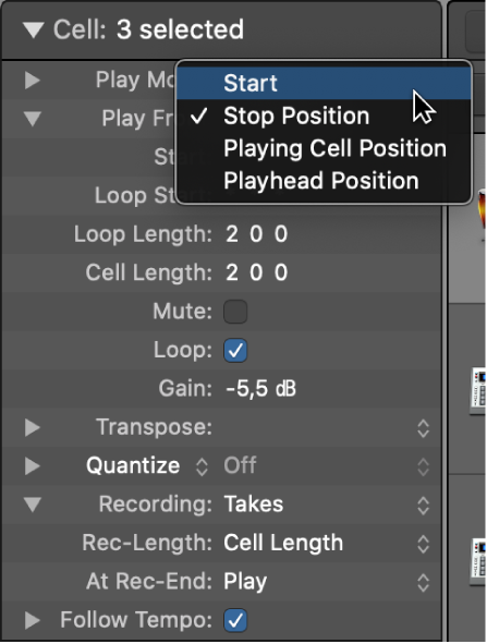Logic Pro course notes - Live Loops