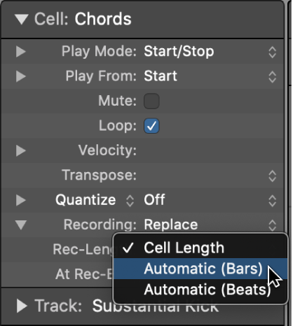 Logic Pro course notes - Live Loops