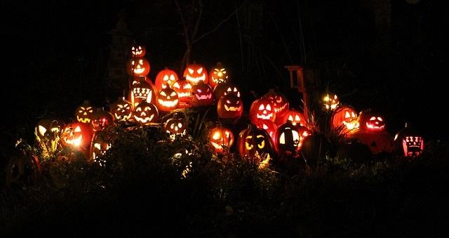 pumpkins-1586516_640.jpg