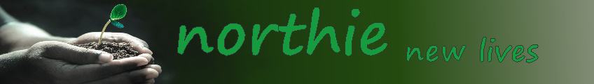 northie author banner 4.jpg