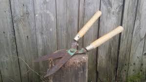 image.jpeg.9032e3126e7d0eeddc9c305849b2ccfd.jpeg