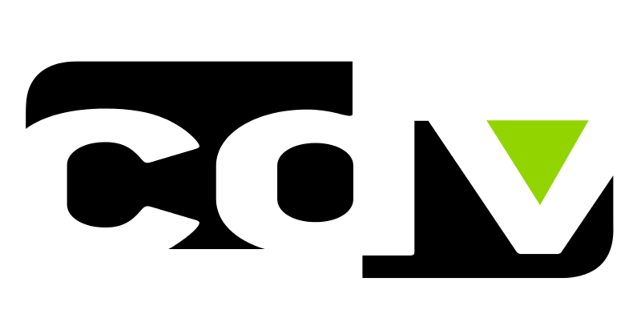 cdv Software Entertainment Logo