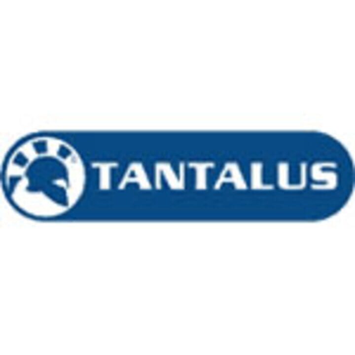 Tantalus Interactive Logo
