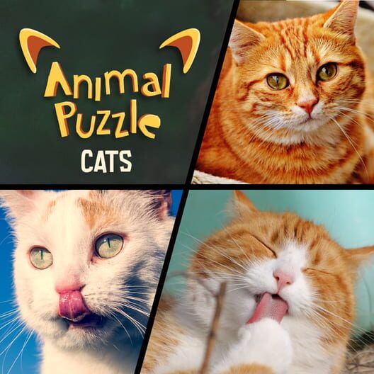 Animal Puzzle Cats All about Animal Puzzle Cats