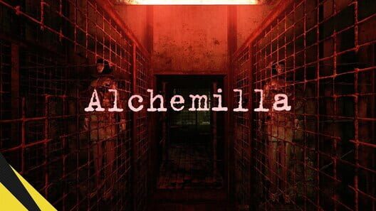 Alchemilla