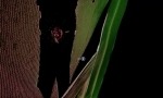 Hide and Seek Gameplay Trailer