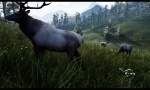 Featurette