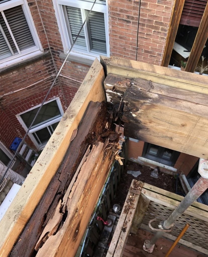 79 C7 DDF9 B103 4 BED BBAA 20 ADB4 EE86 F3