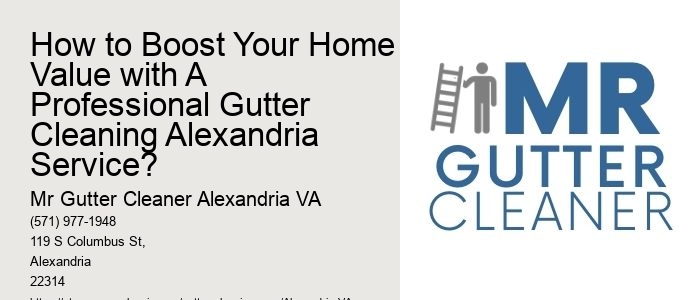 How to Boost Your Home Value with A Professional Gutter Cleaning Alexandria Service?
