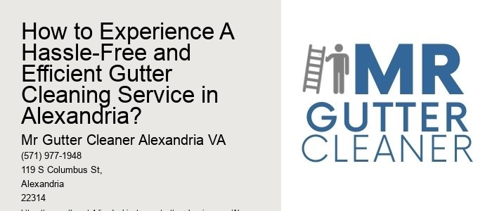 How to Experience A Hassle-Free and Efficient Gutter Cleaning Service in Alexandria?