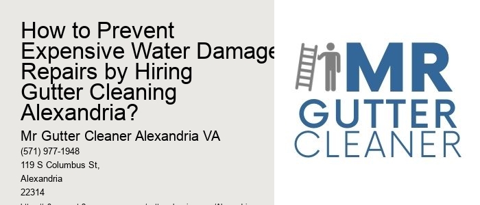 How to Prevent Expensive Water Damage Repairs by Hiring Gutter Cleaning Alexandria?