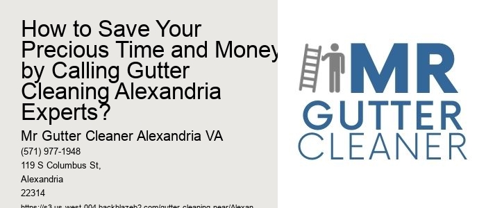 How to Save Your Precious Time and Money by Calling Gutter Cleaning Alexandria Experts?