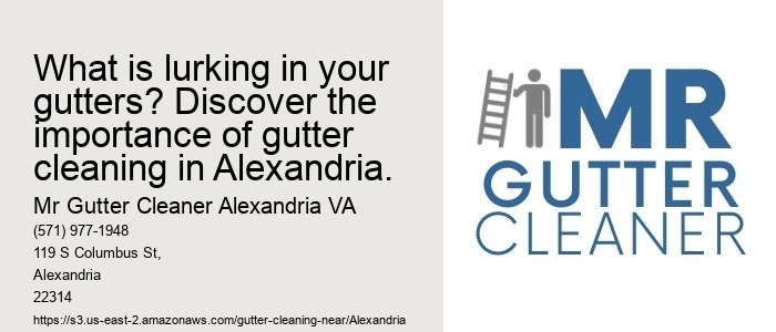What is lurking in your gutters? Discover the importance of gutter cleaning in Alexandria.