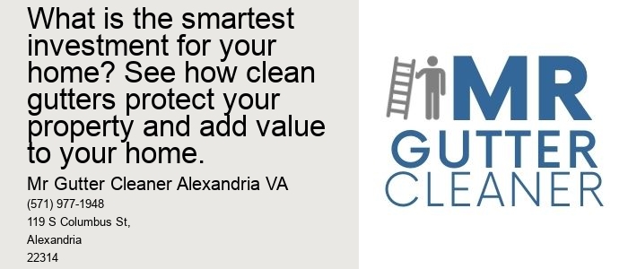 What is the smartest investment for your home? See how clean gutters protect your property and add value to your home.