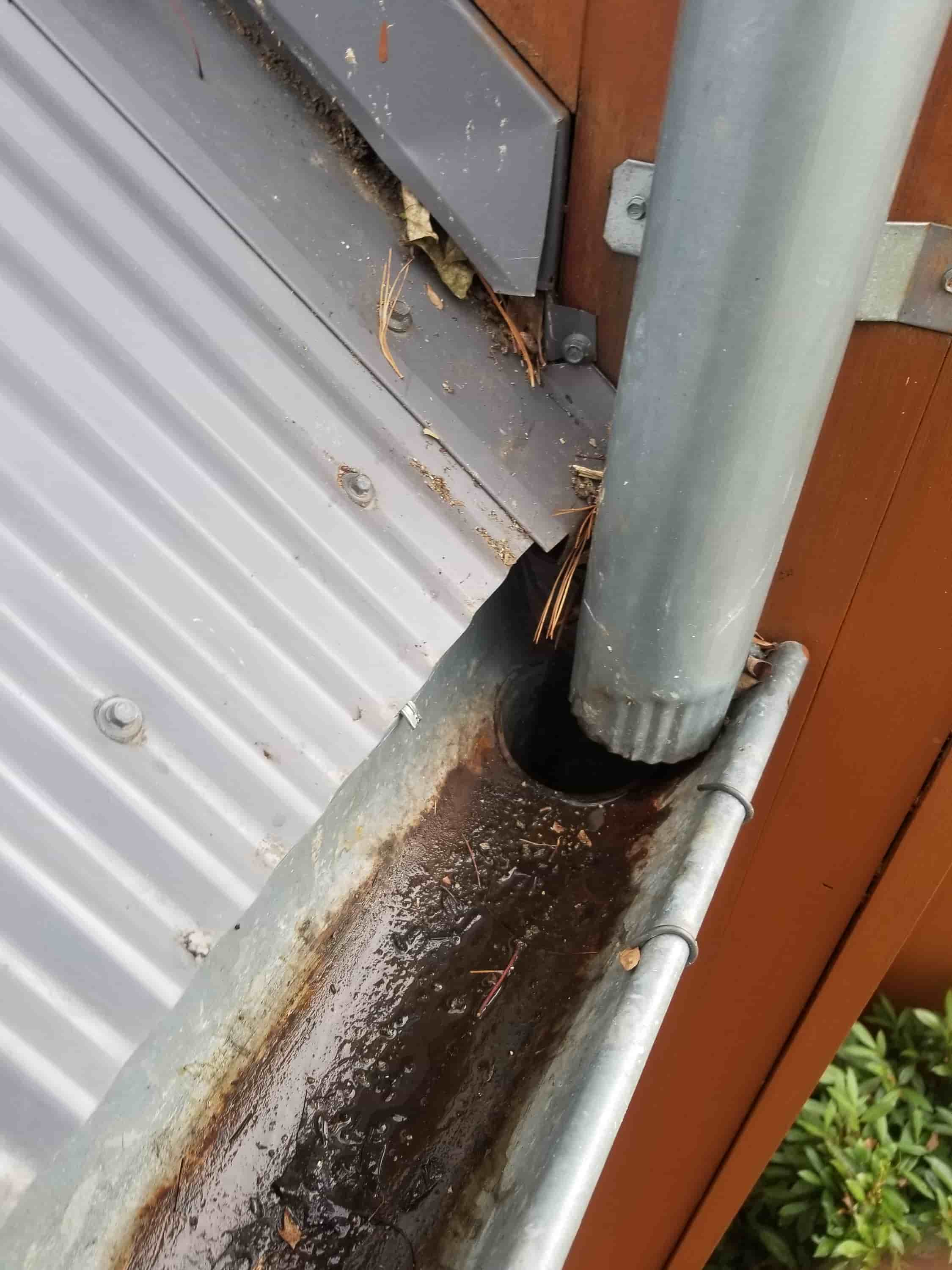 how to clean gutters with guards