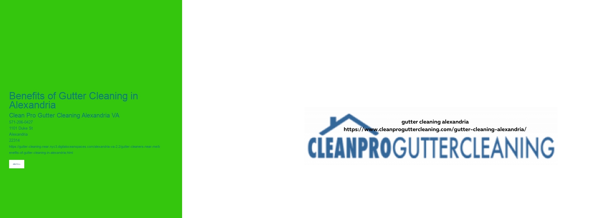 Benefits of Gutter Cleaning in Alexandria 
