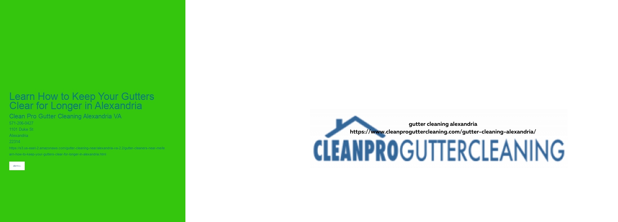 Learn How to Keep Your Gutters Clear for Longer in Alexandria 