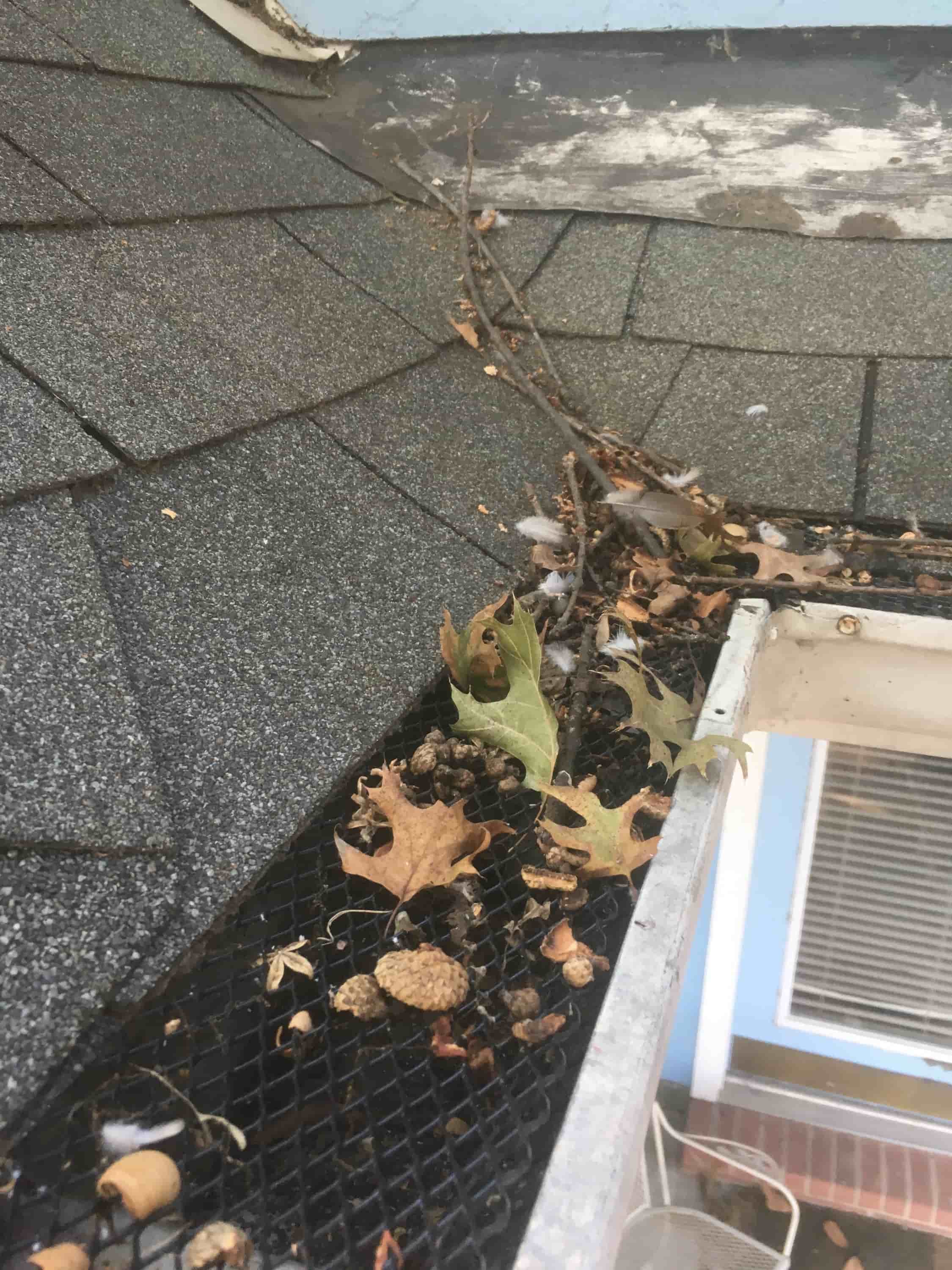 eave cleaning tool