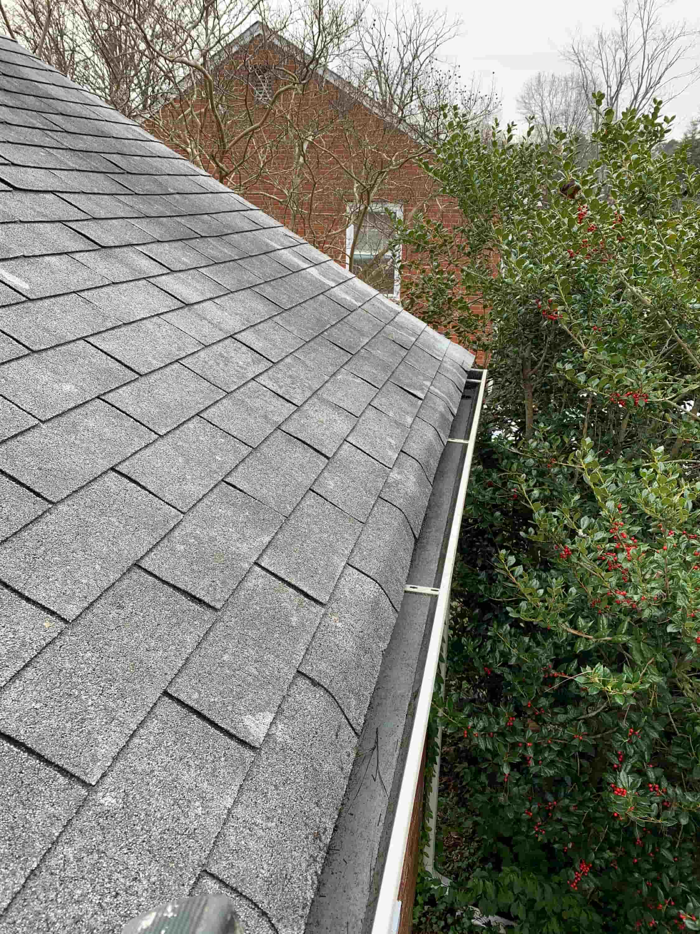 clean leaves from gutter
