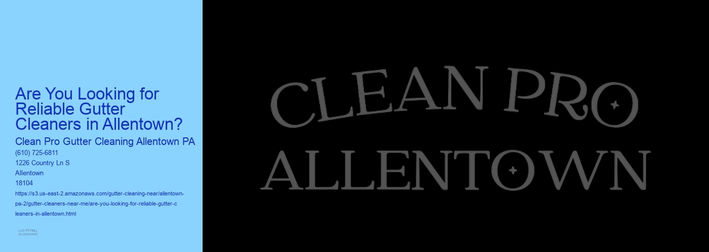Are You Looking for Reliable Gutter Cleaners in Allentown? 