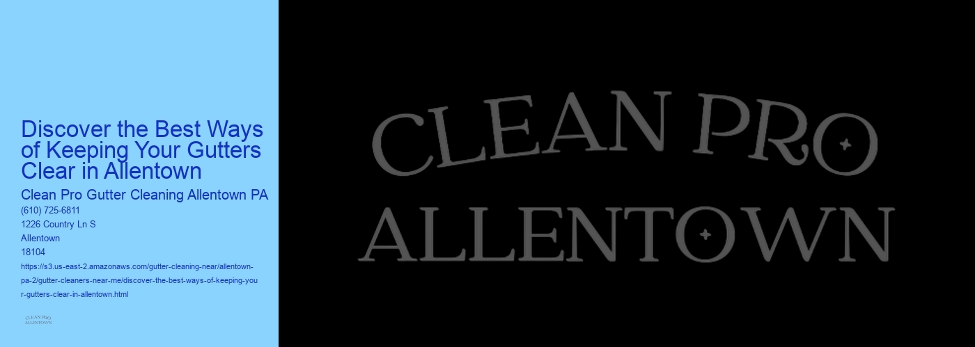 Discover the Best Ways of Keeping Your Gutters Clear in Allentown 