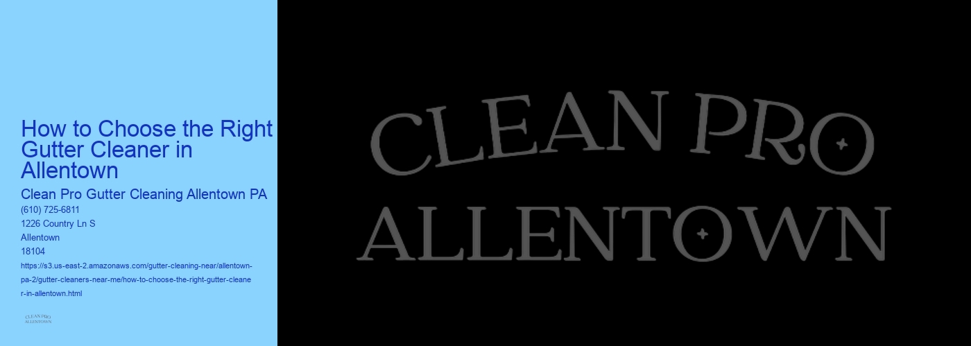 How to Choose the Right Gutter Cleaner in Allentown 