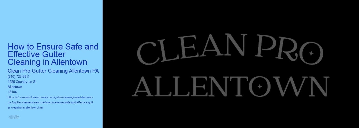 How to Ensure Safe and Effective Gutter Cleaning in Allentown 