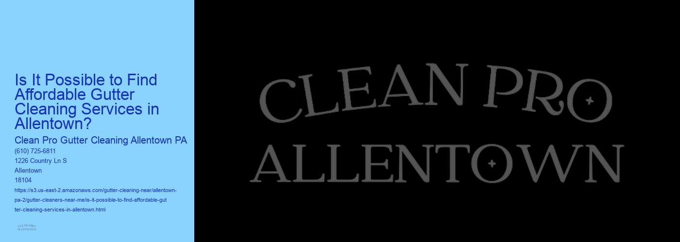 Is It Possible to Find Affordable Gutter Cleaning Services in Allentown? 
