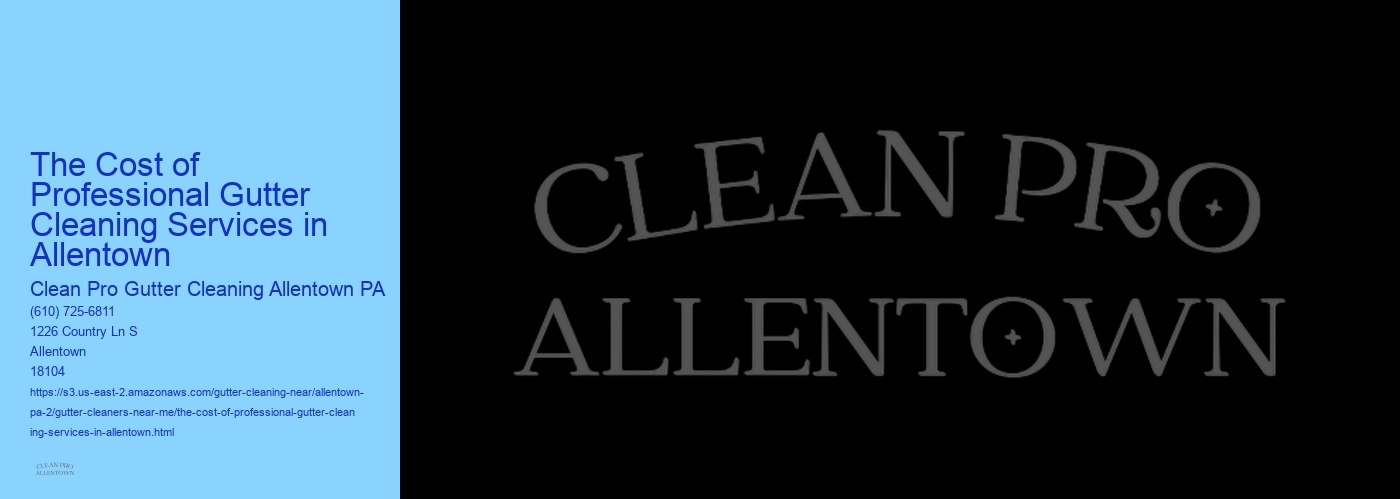 The Cost of Professional Gutter Cleaning Services in Allentown 