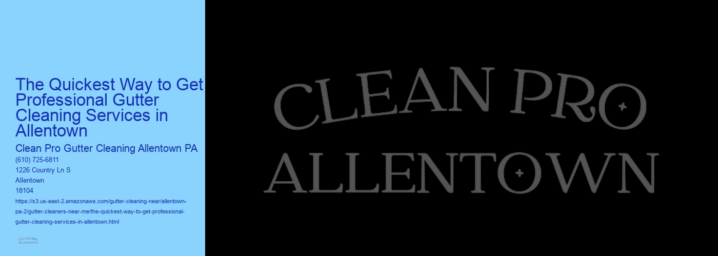 The Quickest Way to Get Professional Gutter Cleaning Services in Allentown 