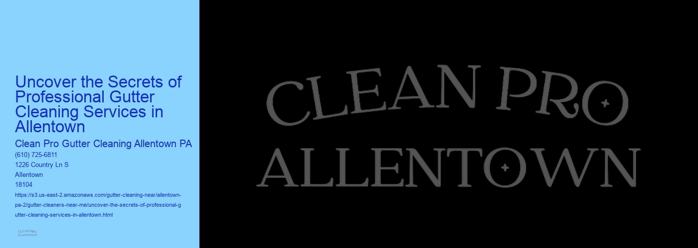 Uncover the Secrets of Professional Gutter Cleaning Services in Allentown