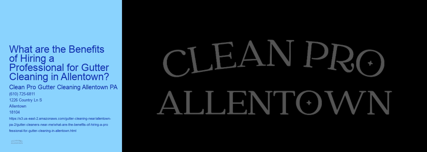 What are the Benefits of Hiring a Professional for Gutter Cleaning in Allentown?