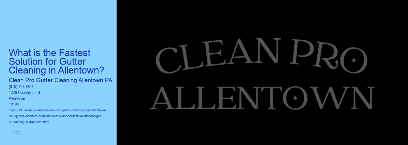 What is the Fastest Solution for Gutter Cleaning in Allentown? 