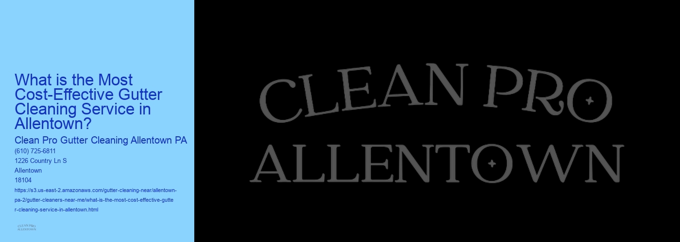 What is the Most Cost-Effective Gutter Cleaning Service in Allentown? 