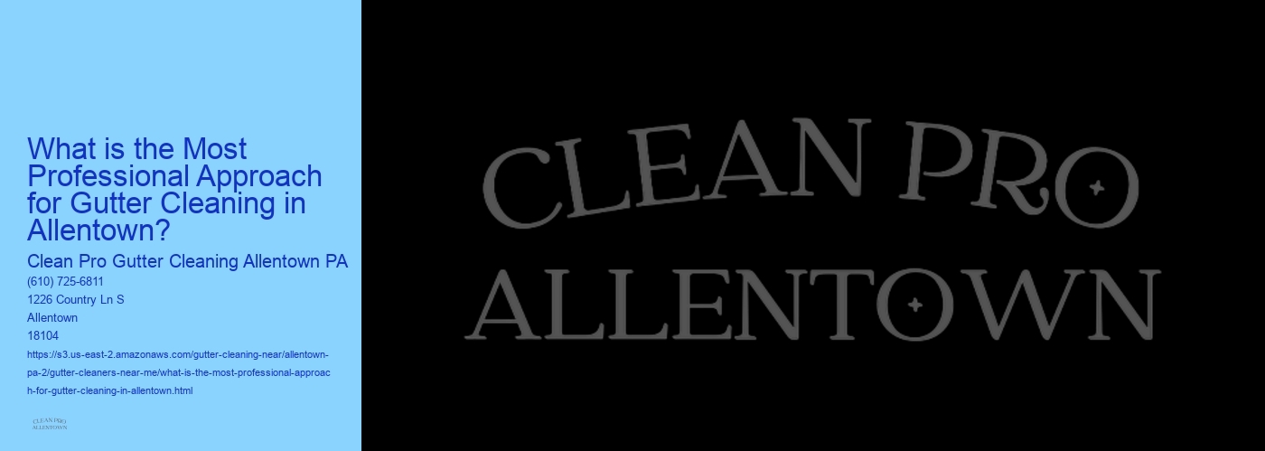 What is the Most Professional Approach for Gutter Cleaning in Allentown? 
