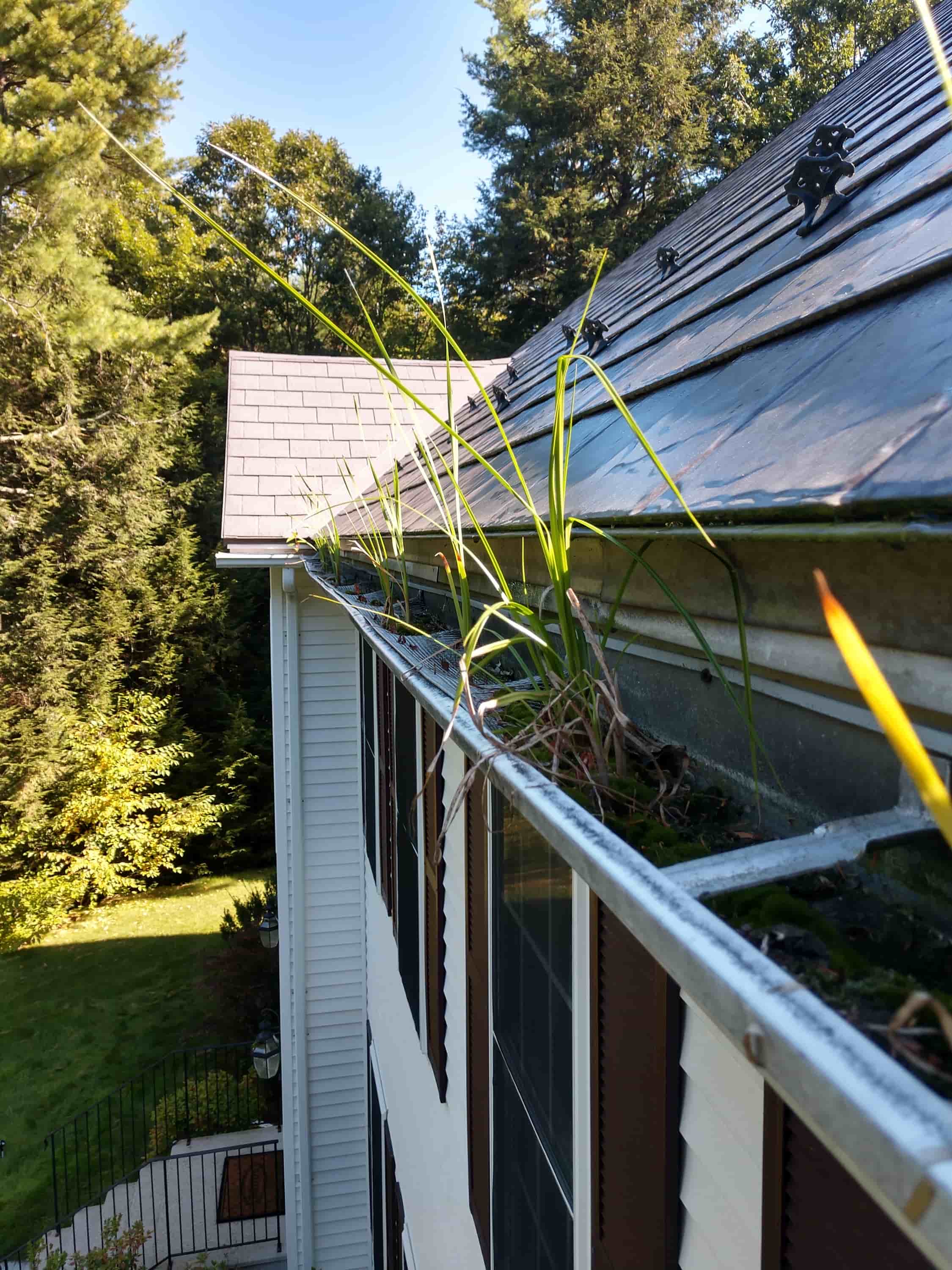 clean clogged gutter downspout
