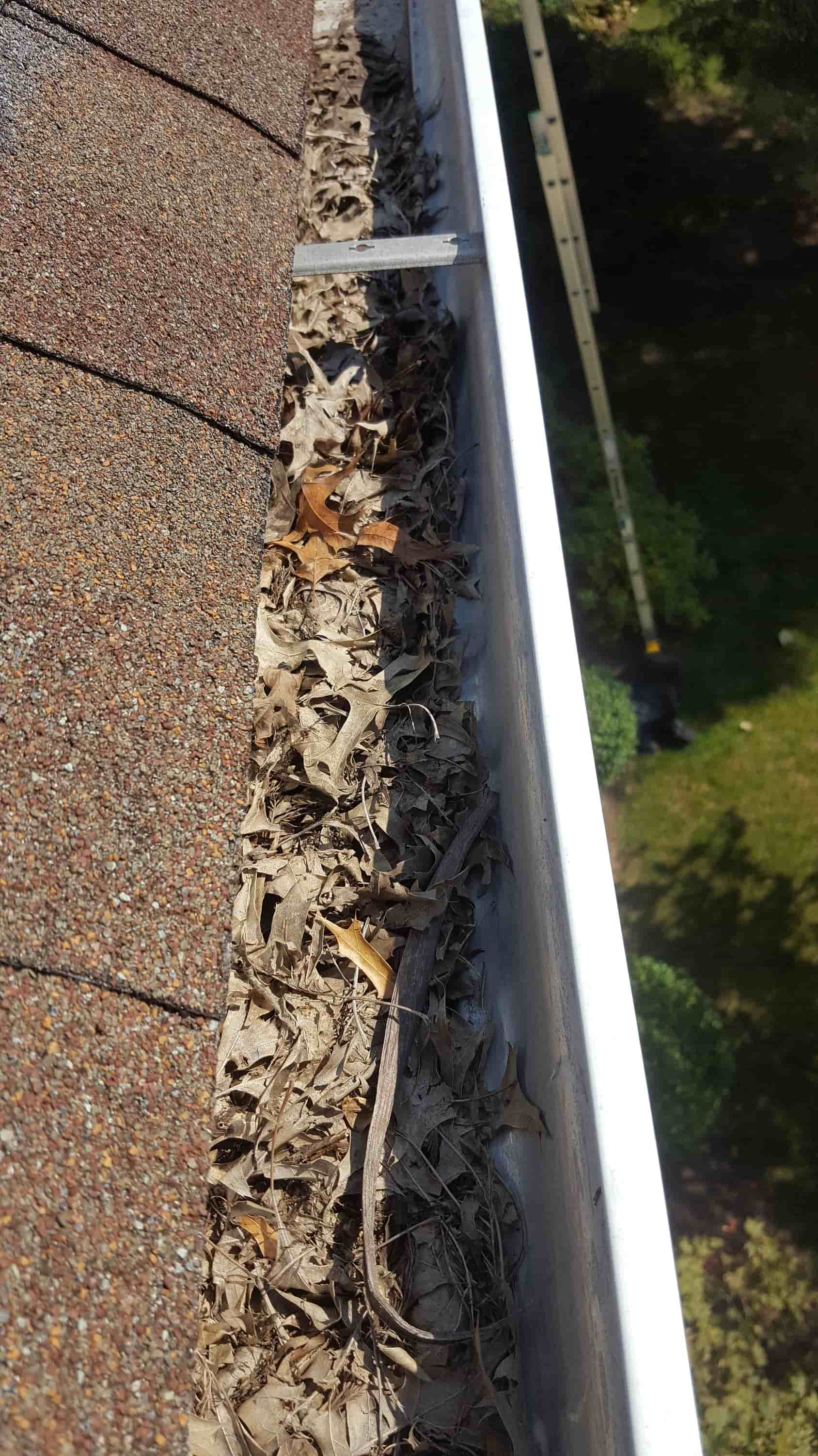 how often to clean gutter