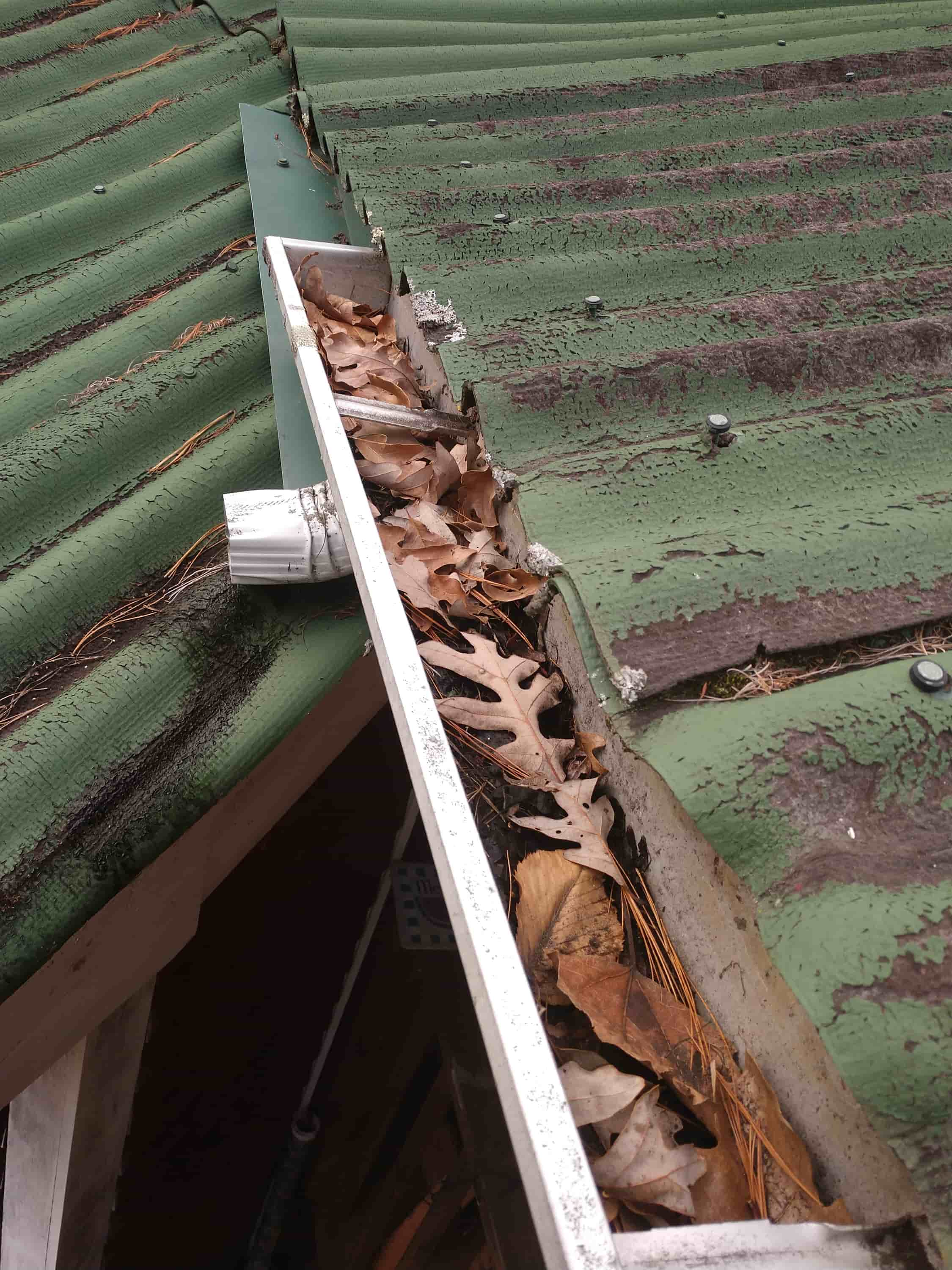 blow leaves out of gutters