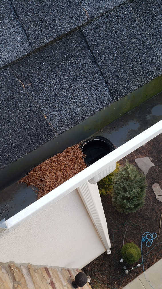 clogged rain gutter downspout