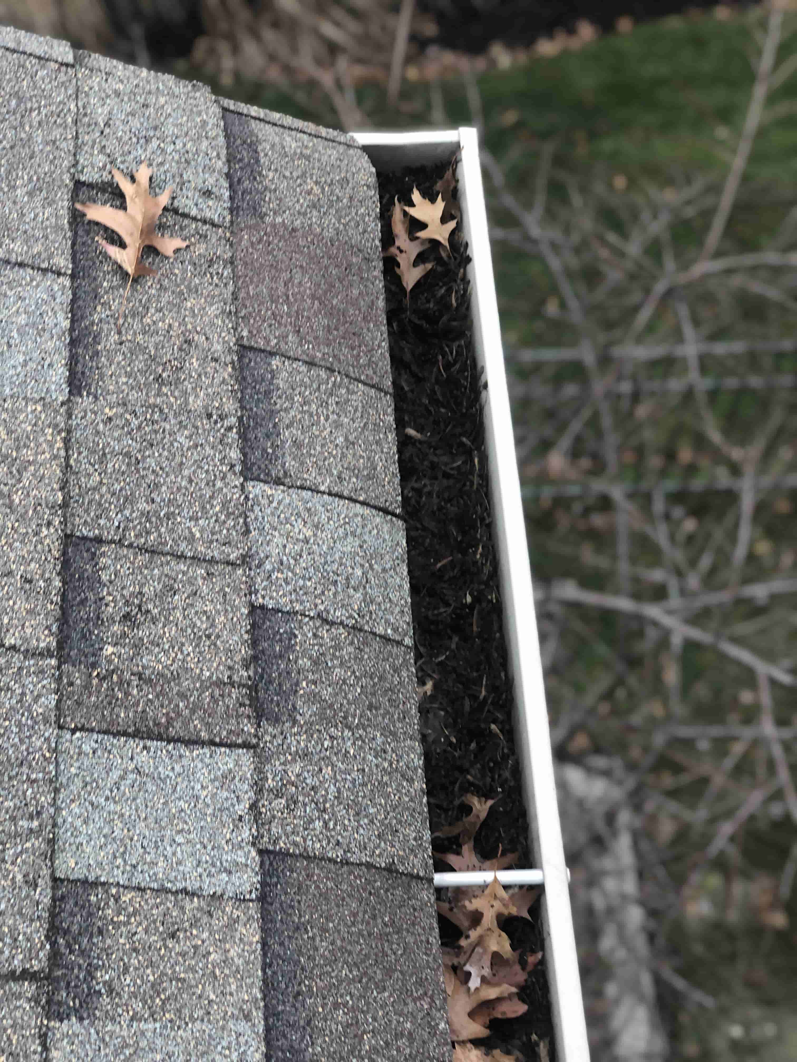 roof and gutter