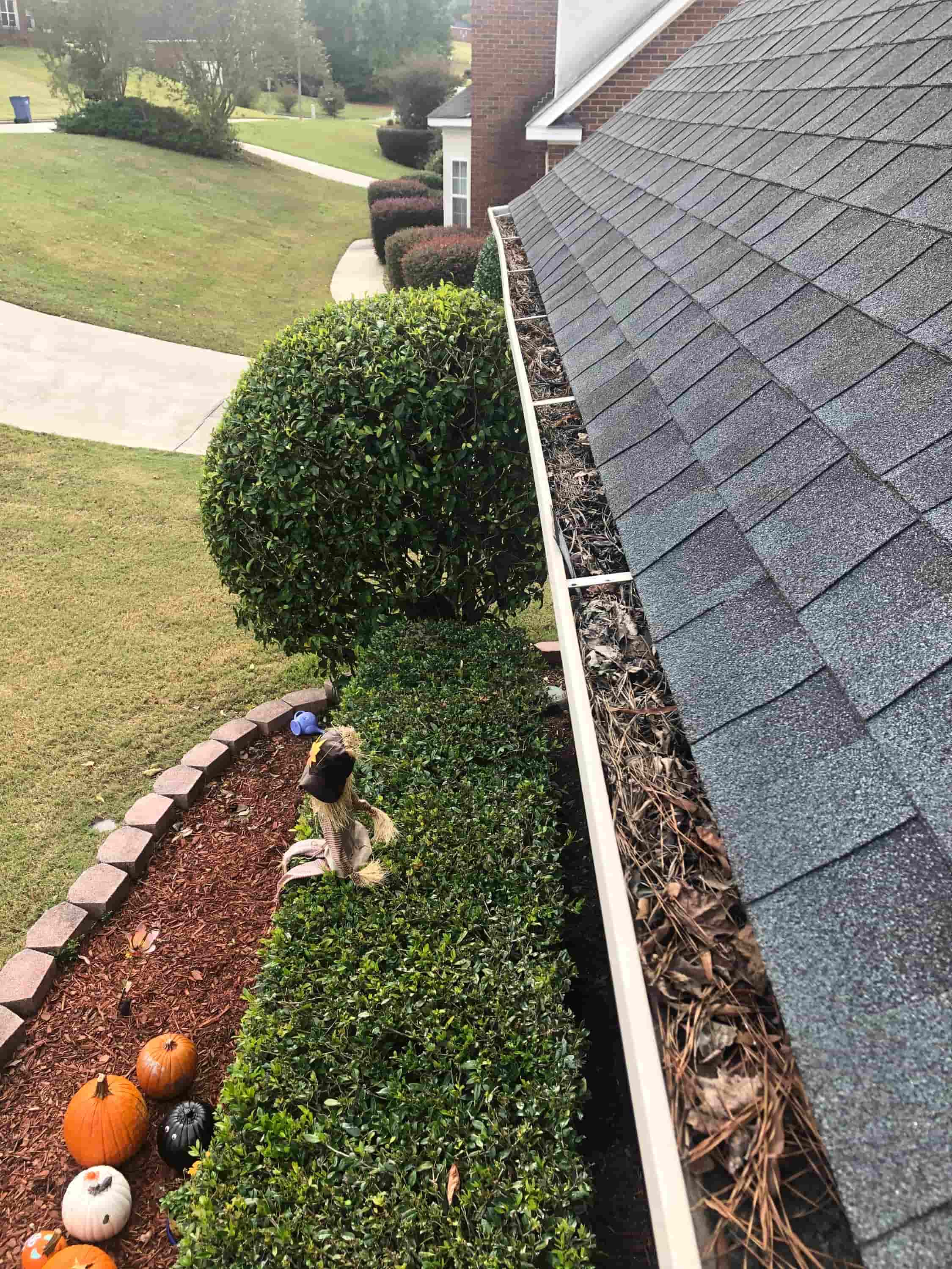 gutter clean up